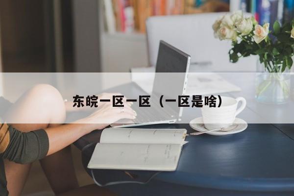 东皖一区一区(一区是啥)