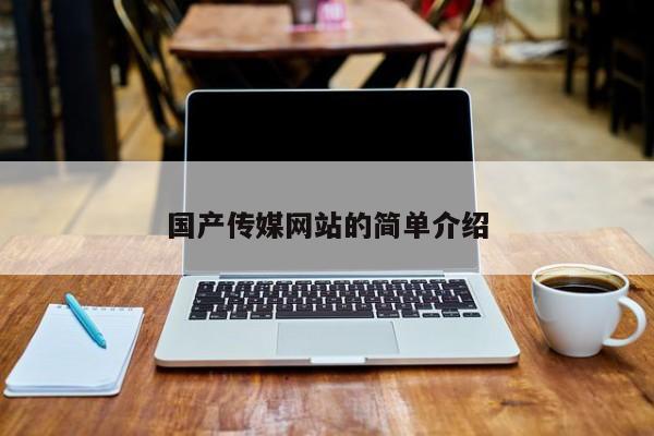 国产传媒网站的简单介绍