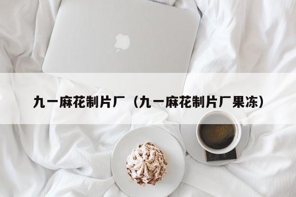 九一麻花制片厂(九一麻花制片厂果冻)