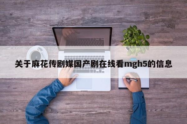 关于麻花传剧媒国产剧在线看mgh5的信息