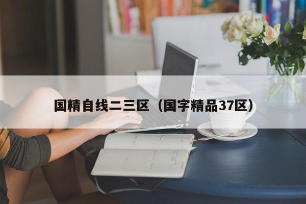 国精自线二三区(国字精品37区)