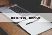 美丽的小蜜挑2（美丽的小丽）