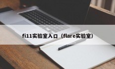 fi11实验室入口（flare实验室）