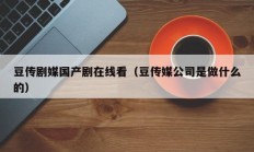 豆传剧媒国产剧在线看（豆传媒公司是做什么的）